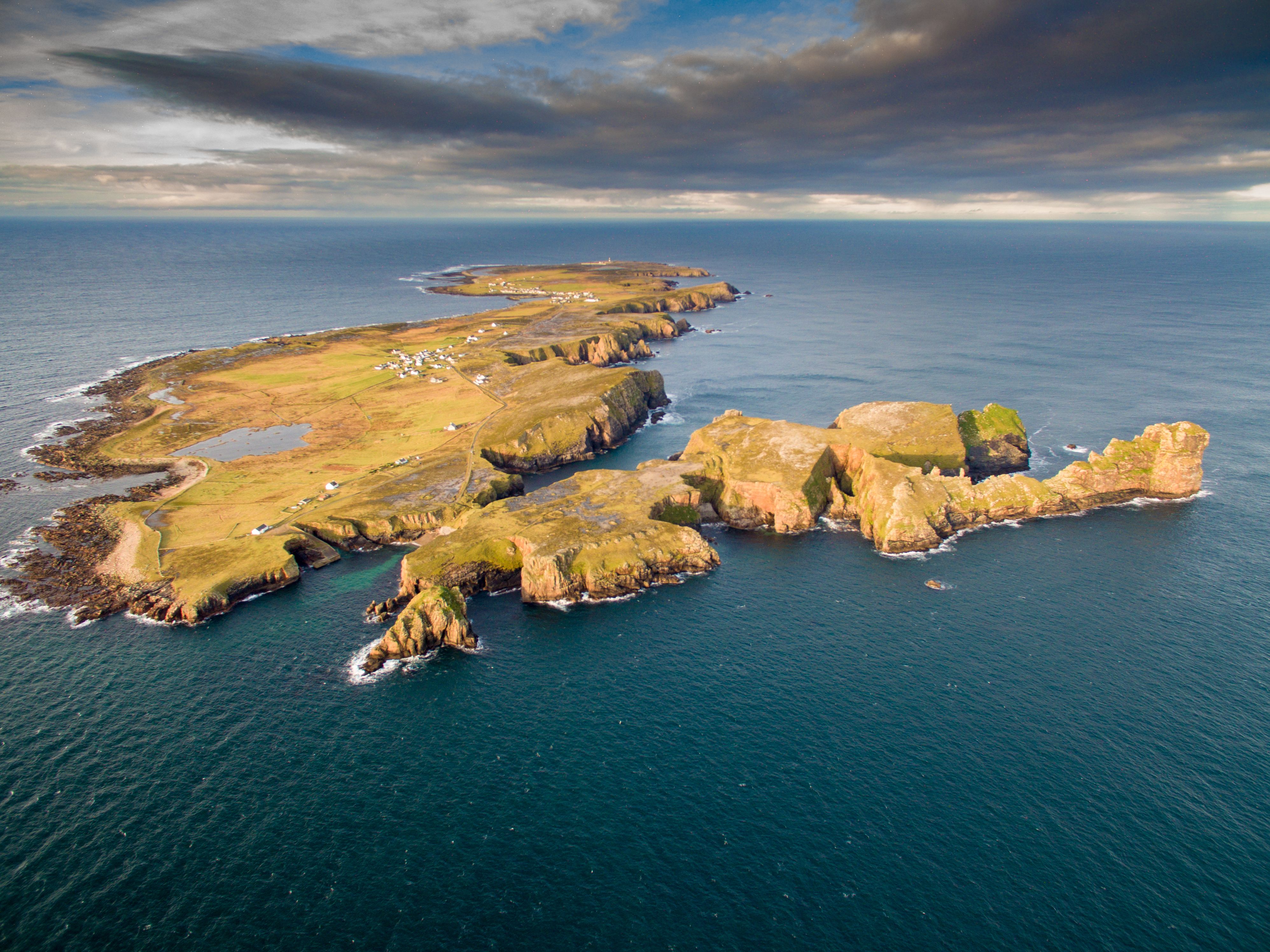 Tory Island – Oileán Thoraí – BioBlitz