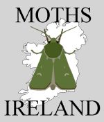 moths_logo_small